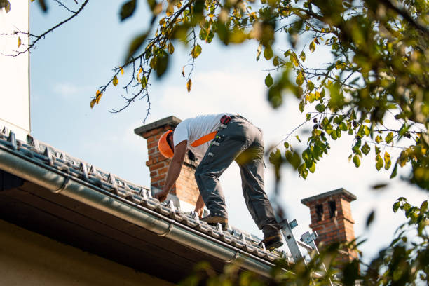 Best Flat Roof Repair Services  in Sanborn, NY