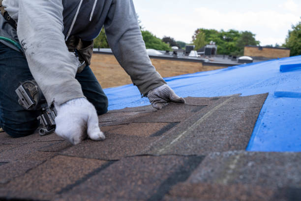 Quick and Trustworthy Emergency Roof Repair Services in Sanborn, NY