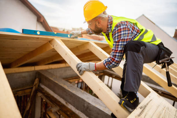 Best Roof Gutter Cleaning  in Sanborn, NY