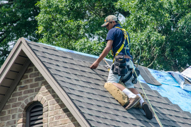 Best Residential Roofing Contractor  in Sanborn, NY